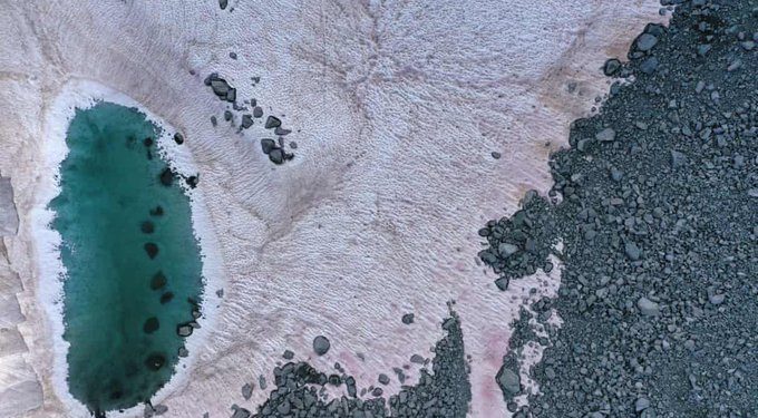 Rózsaszín hó az Olasz-Alpokban