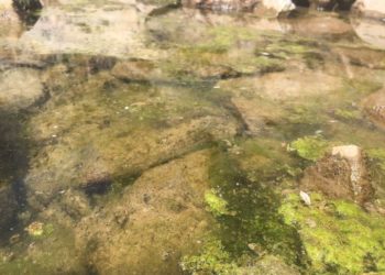 Az Egyesült Államokban zöldre festi a hegyi tavakat a klímaváltozás