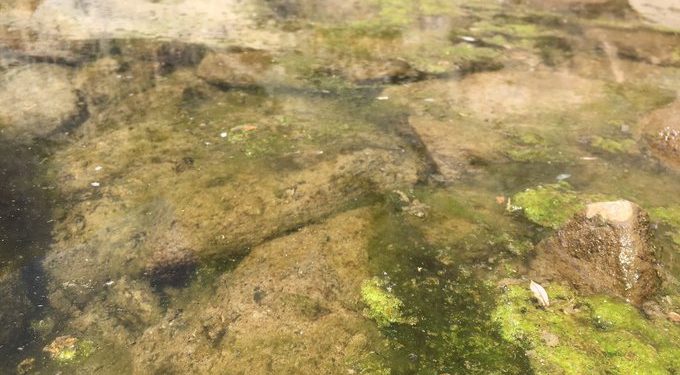 Az Egyesült Államokban zöldre festi a hegyi tavakat a klímaváltozás