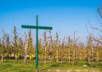 70 millió forint támogatást ad a zöld civil szervezeteknek az Agrárminisztérium ﻿