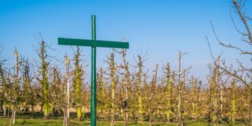 70 millió forint támogatást ad a zöld civil szervezeteknek az Agrárminisztérium ﻿