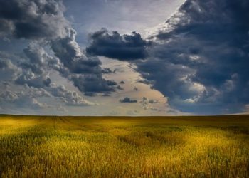 Magosz:  az EU Közös Agrárpolitikájára nem lehet felkészülni