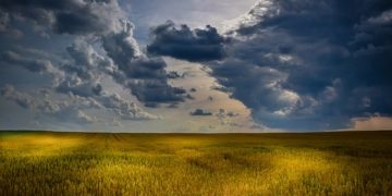 Magosz:  az EU Közös Agrárpolitikájára nem lehet felkészülni