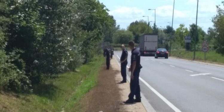 A Balatonfűzőn eltűnt idős asszonyt az erdőben megtalálták meg