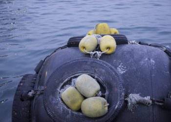 A tihanyi intézet az Atlanti-óceánt kutató projekt résztvevője lett