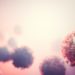 Coronavirus COVID-19 attack organism. Corona virus