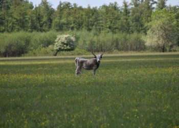 Mindenki számára elérhetővé kell tenni Magyarország természeti kincseit