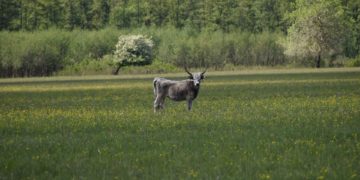 Mindenki számára elérhetővé kell tenni Magyarország természeti kincseit