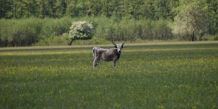 Mindenki számára elérhetővé kell tenni Magyarország természeti kincseit