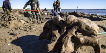 Szibériai tóban találtak mamutcsontvázat