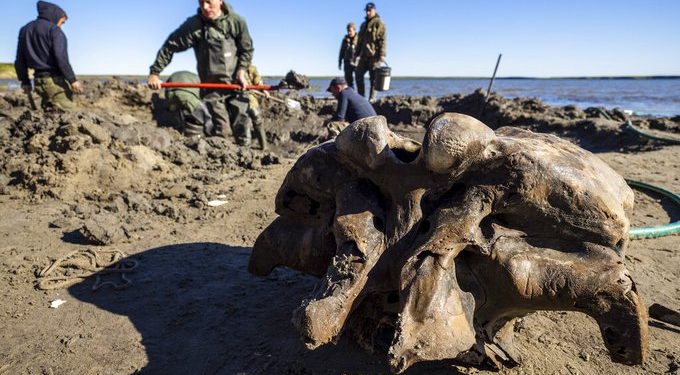 Szibériai tóban találtak mamutcsontvázat