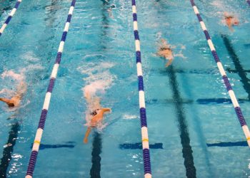 A Négy Nemzet Úszóversenyen  mindenki indul a magyarok közül