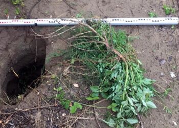 Megtalálták az alagutat, ahol a 25 fős társaság átszökött a határon