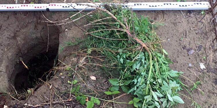 Megtalálták az alagutat, ahol a 25 fős társaság átszökött a határon