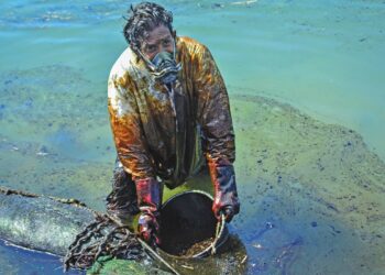 Mauritiuson megállították az olaj szivárgását, mégis környezeti katsztrófa fenyegeti a szigetet