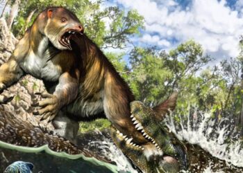 Egy 13 millió éves lajhárfosszílián az eddigi legerősebb állati harapásnyomra bukkantak