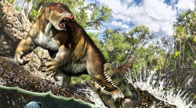 Egy 13 millió éves lajhárfosszílián az eddigi legerősebb állati harapásnyomra bukkantak