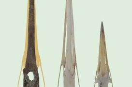 Németországban óriásdaru koponyájának fosszíliájára bukkantak