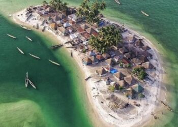 Bali partjainál több mint tízezer teknősfiókát engedtek a tengerbe (videó)