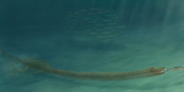 A zsiráfnyakú őslény vízi állat volt