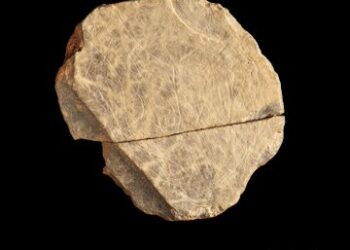 Régészek a brit szigetek legősibb vésett kőtábláinak töredékeit fedezték fel