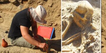 Az ókori egyiptomi állattemetőben eltemetett majmok Indiából érkeztek