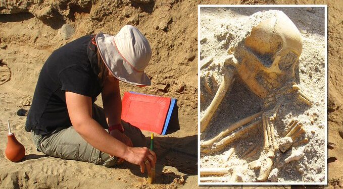 Az ókori egyiptomi állattemetőben eltemetett majmok Indiából érkeztek