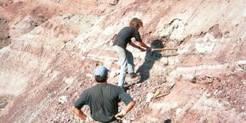 Elhullott dinoszauruszok húsából apró emlősök táplálkoztak