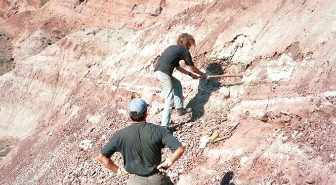 Elhullott dinoszauruszok húsából apró emlősök táplálkoztak