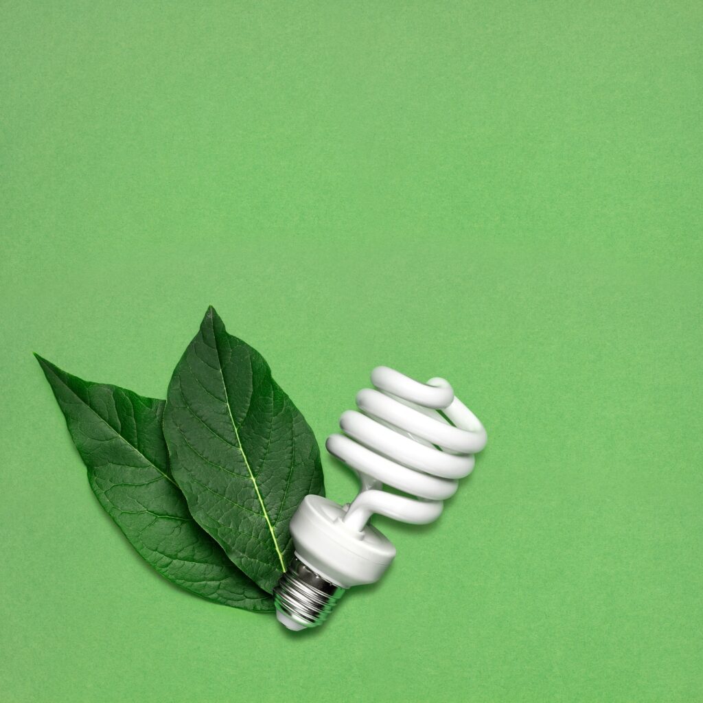 Eco bulb.