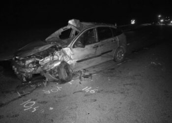 Szarvasbőgés időszaka alatt rengeteg a vadakkal való ütközés -már több balesetet jelentettek