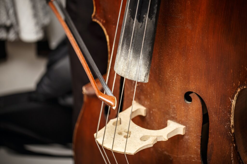 Double bass, wooden musical instrument