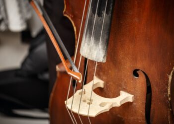 Double bass, wooden musical instrument