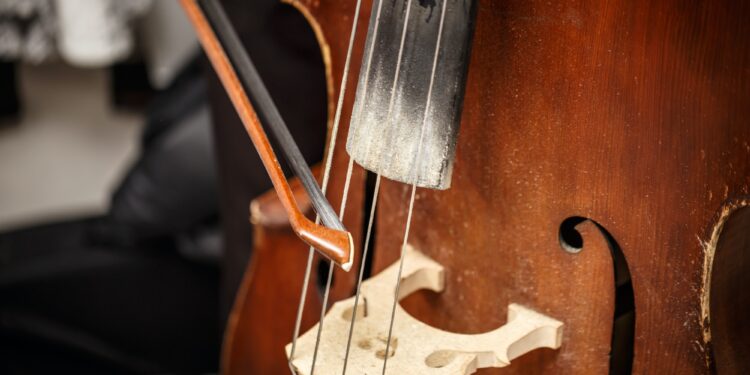 Double bass, wooden musical instrument