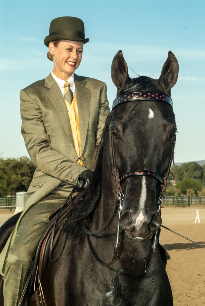 Equestrian English Pleasure Show horse and rider