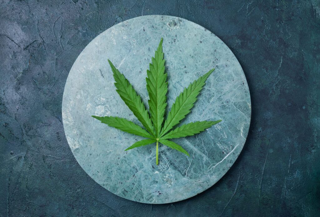 Green hemp leaf on marble background. Top view, copy space. Close up of cannabis leaf