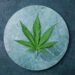 Green hemp leaf on marble background. Top view, copy space. Close up of cannabis leaf