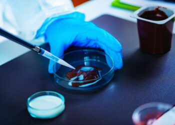 Quality control of pudding